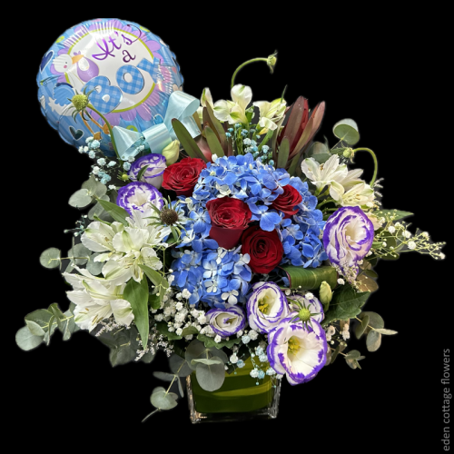 Shop by Occasions