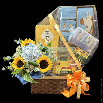 Baby Gifts Hamper NB23