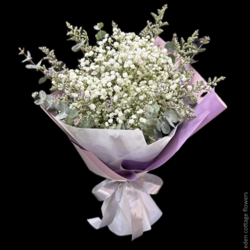 Baby's Breath White Bouquet HBB2
