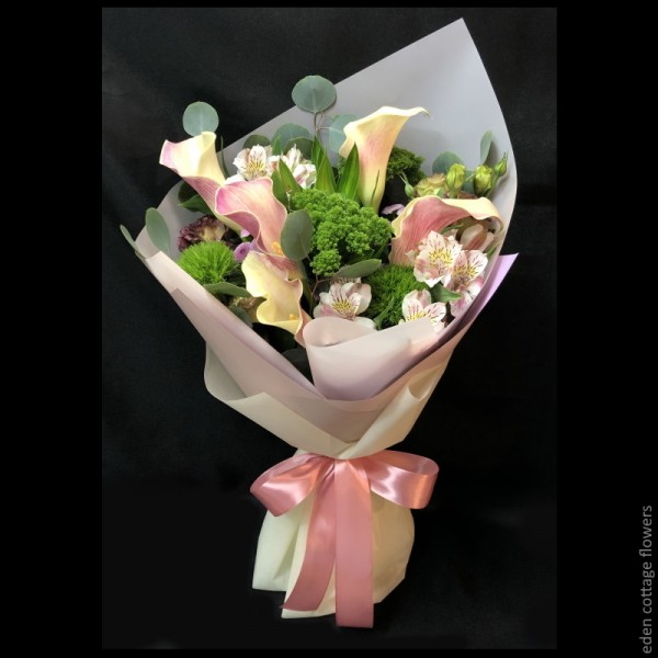 Calla Lily
