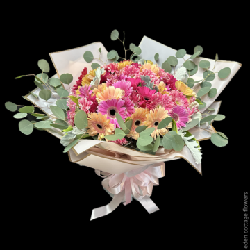 Big 50 Gerberas Bouquet HBG50