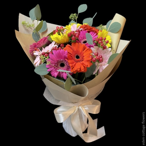 Gerbera