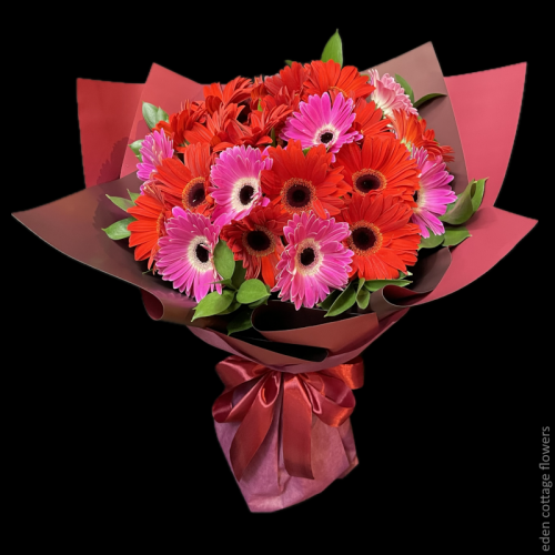 Shop by Occasions