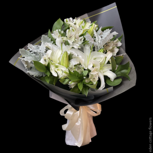 Lily