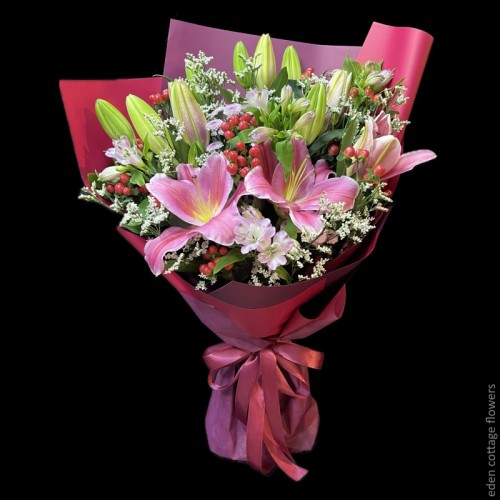 Shop by Occasions