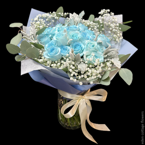 Shop by Occasions