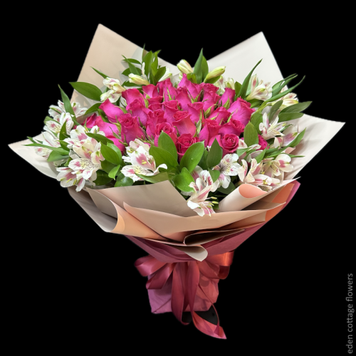 Shop by Occasions