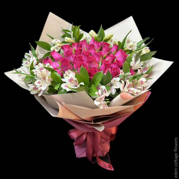 Shop by Occasions