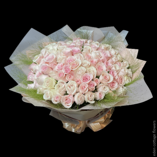 Shop by Occasions