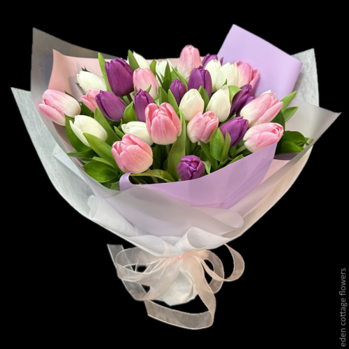 Shop by Occasions