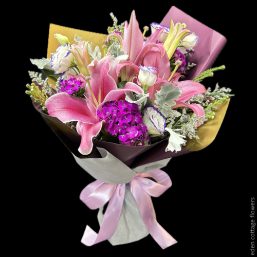 Shop by Occasions