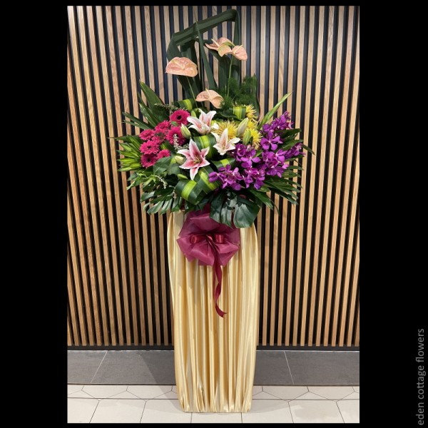 Shop by Occasions