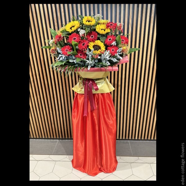 Shop by Occasions
