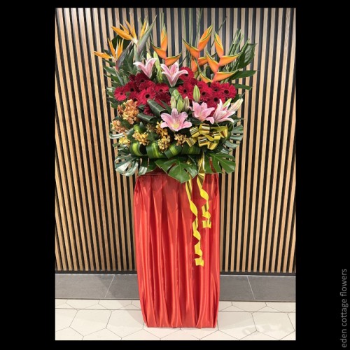 Shop by Occasions