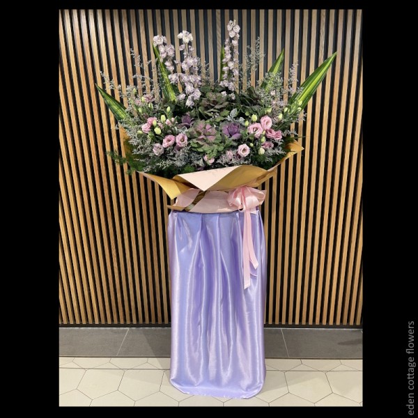 Shop by Occasions