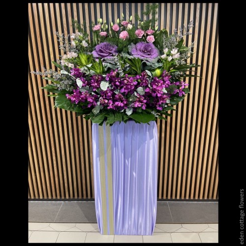 Shop by Occasions