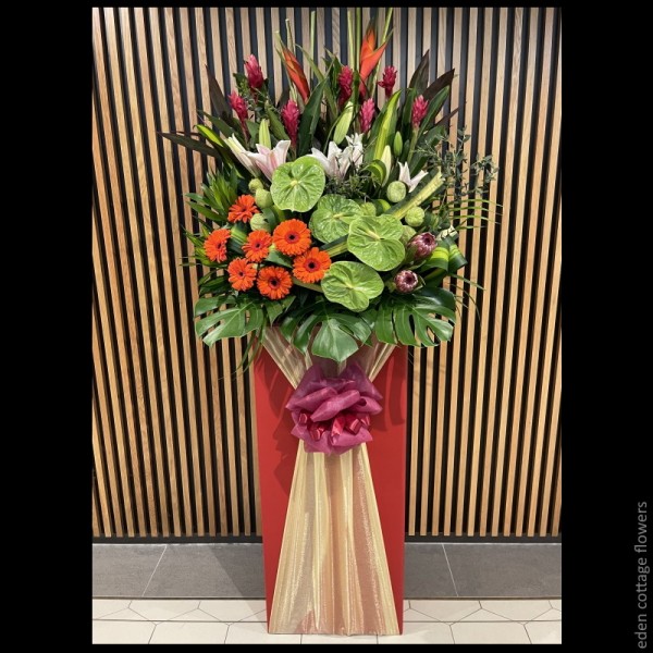 Shop by Occasions