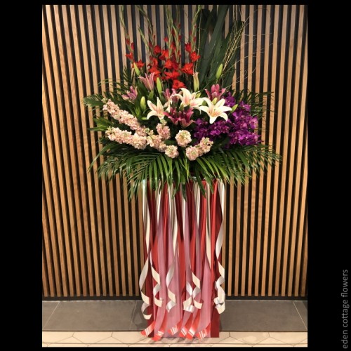 Shop by Occasions