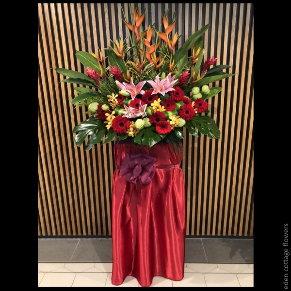 Shop by Occasions