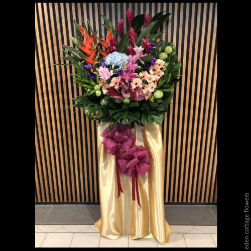 Shop by Occasions