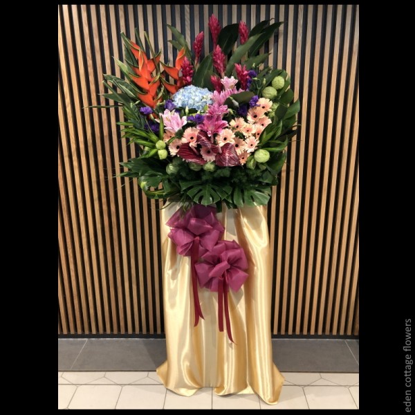 Shop by Occasions