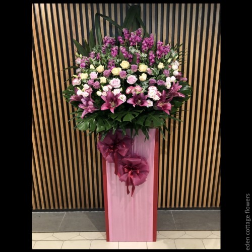 Shop by Occasions
