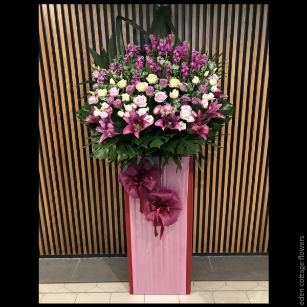Shop by Occasions