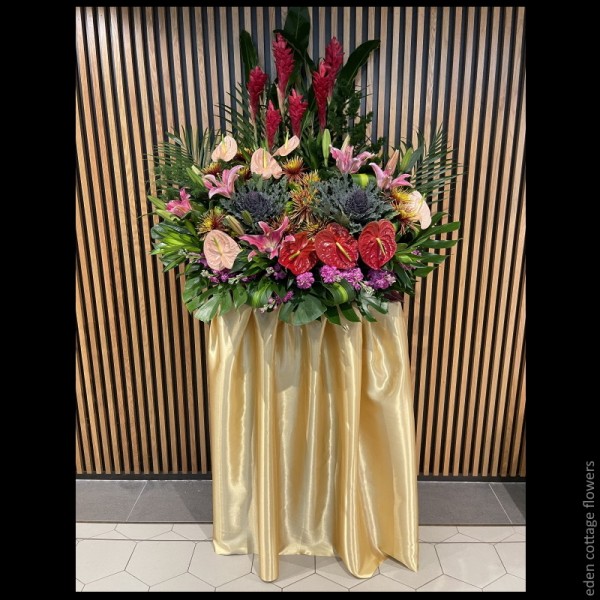 Shop by Occasions