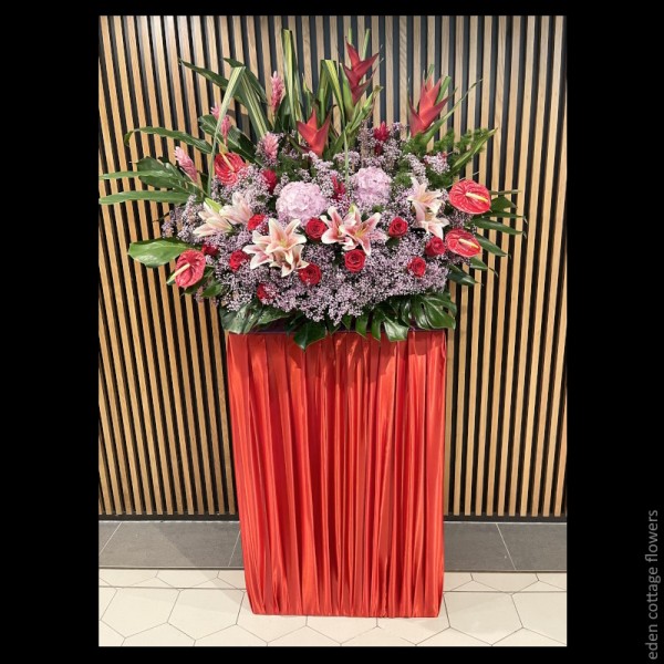 Shop by Occasions