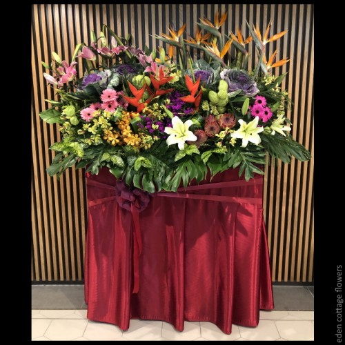 Shop by Occasions