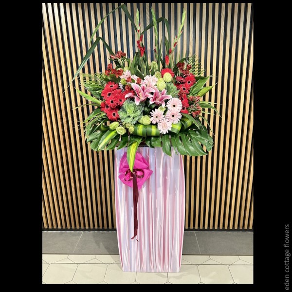 Shop by Occasions