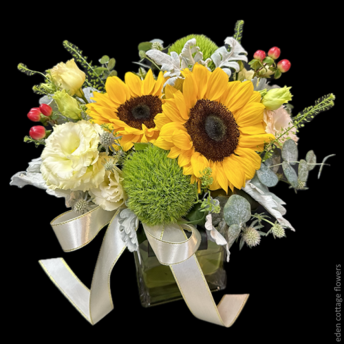 Shop by Occasions