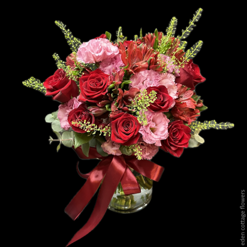 Shop by Occasions