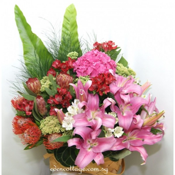 Shop by Occasions