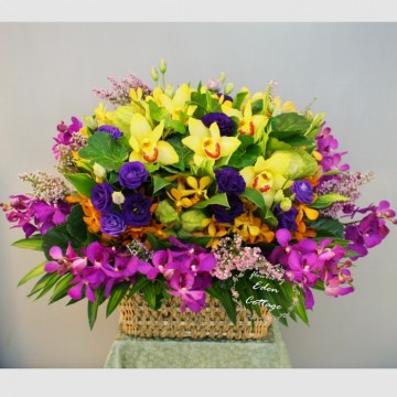 Orchids Basket OFA4
