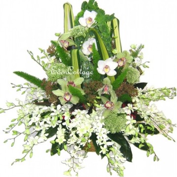 Orchids Basket Arrangement OFA5