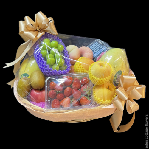 Shop by Occasions