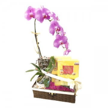 Tonics Basket & Orchid TNF12
