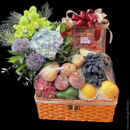 Shop by Occasions