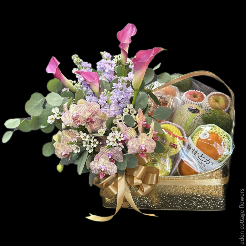 Shop by Occasions