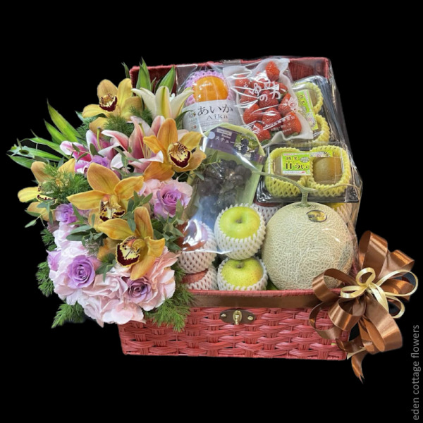 Shop by Occasions