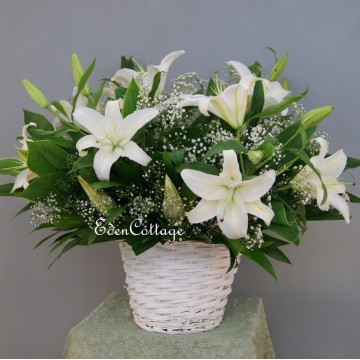 Lily Table Flowers TF12