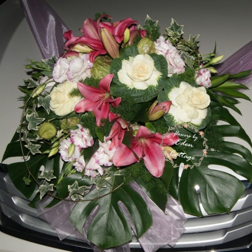Shop by Occasions