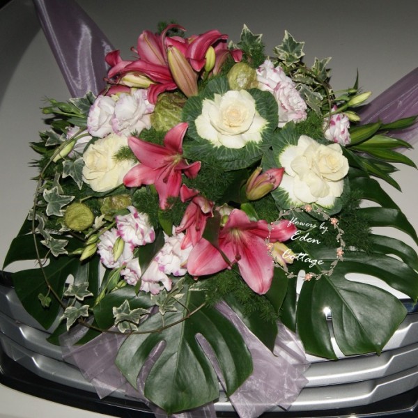 Shop by Occasions