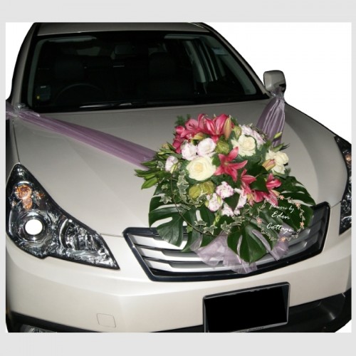 Shop by Occasions