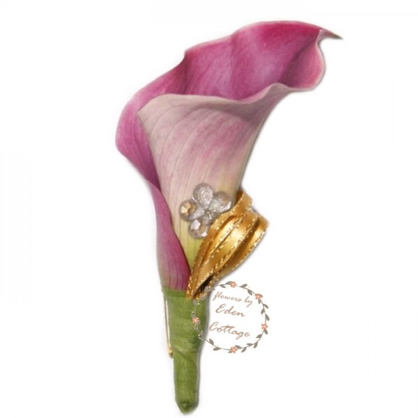 Shop by Occasions