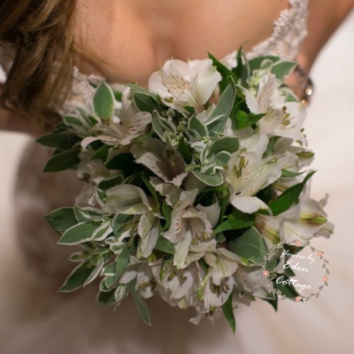 Shop by Occasions