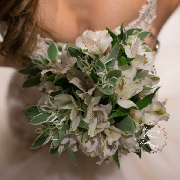 Shop by Occasions