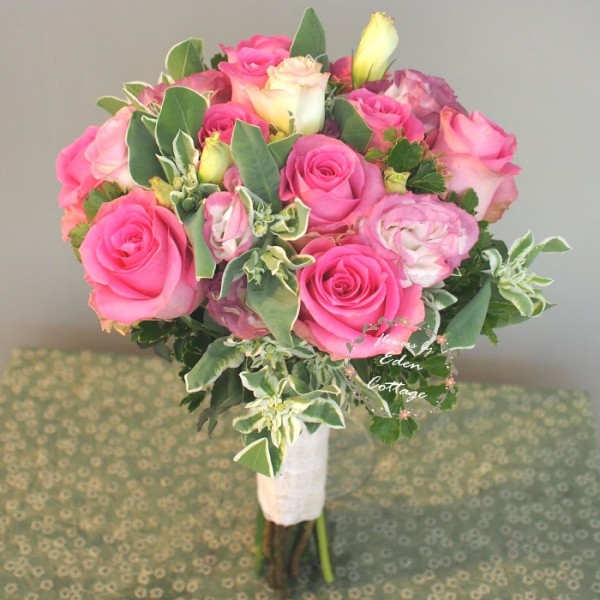 Shop by Occasions