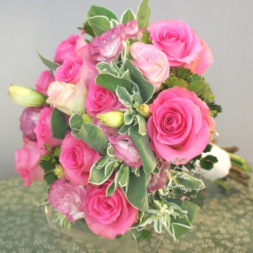 Shop by Occasions